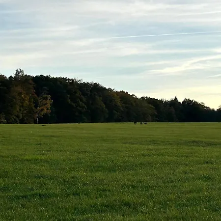 Zirben - Wellness In Bayern L Altmuehltal L Privater Whirlpool & Sauna L Dtv 5 Sterne Fuer Paare Und Familie Monheim (Bavaria)